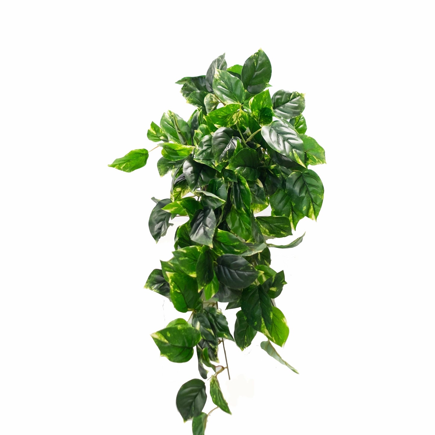 Pothos Shelf Basket