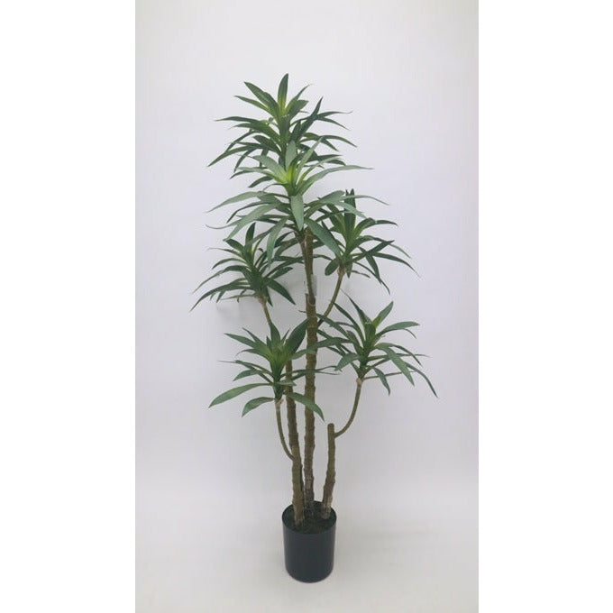 Sicily Grove 48"