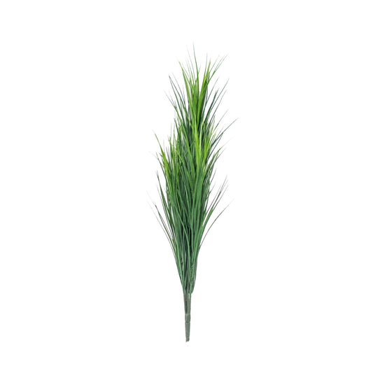 Wheat Grass Bush (Pack of 2)