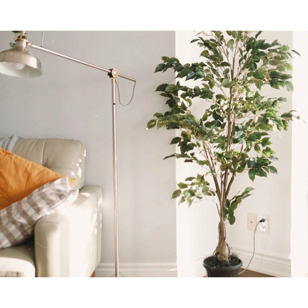 Artificial Potted Deluxe Ficus Benjamina