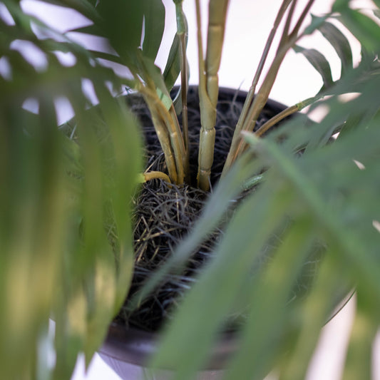 Artificial Areca Palm Tree 34"