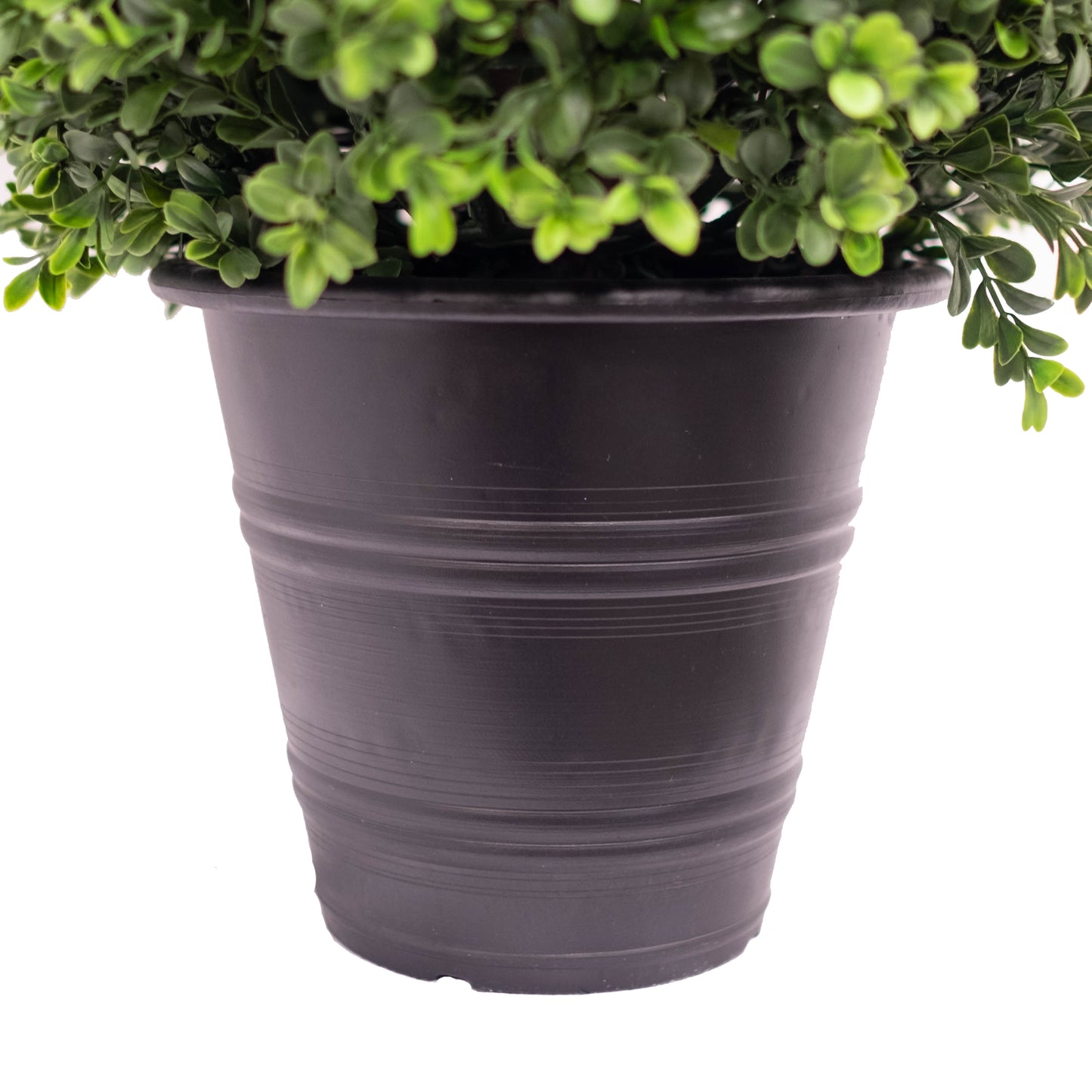 Fluffy Boxwood Ball