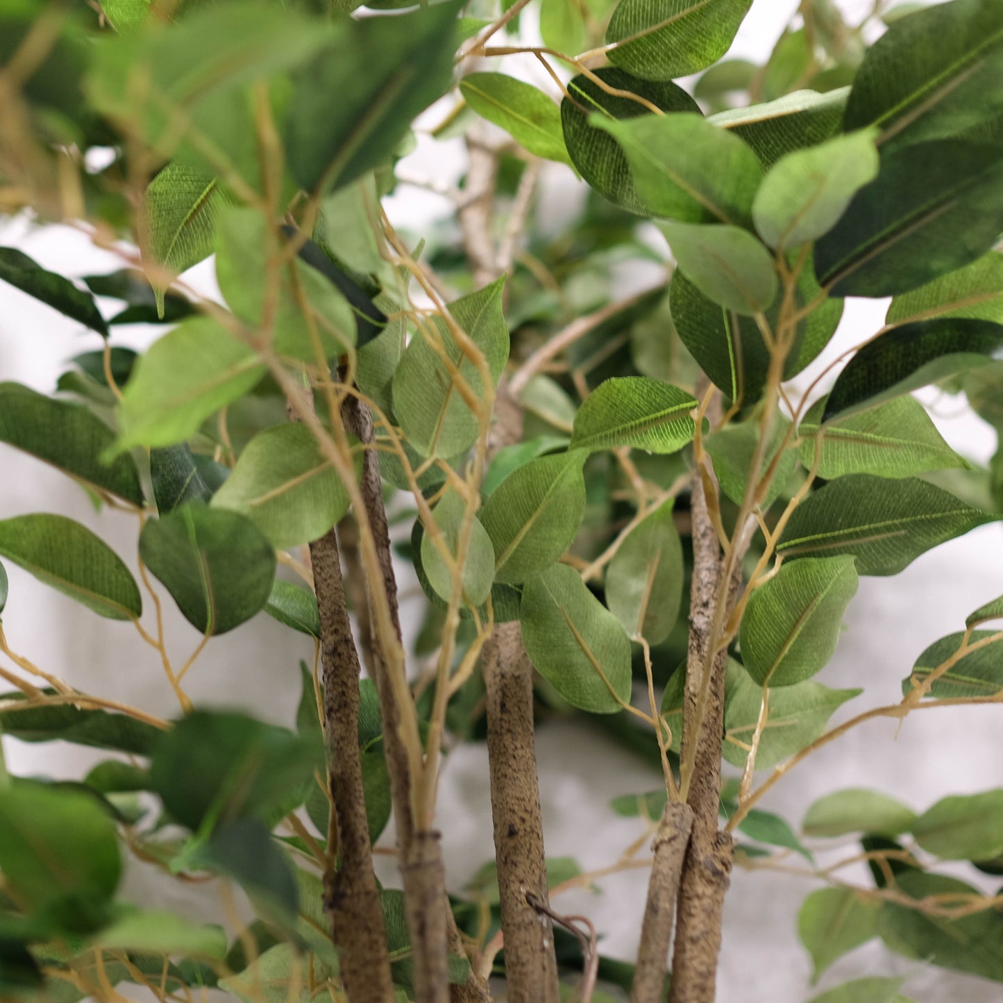 Artificial Potted Deluxe Ficus Benjamina