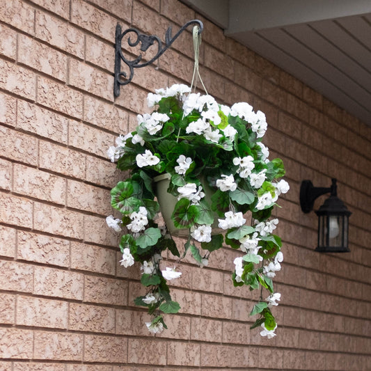 The Balcony Blooms Bundle