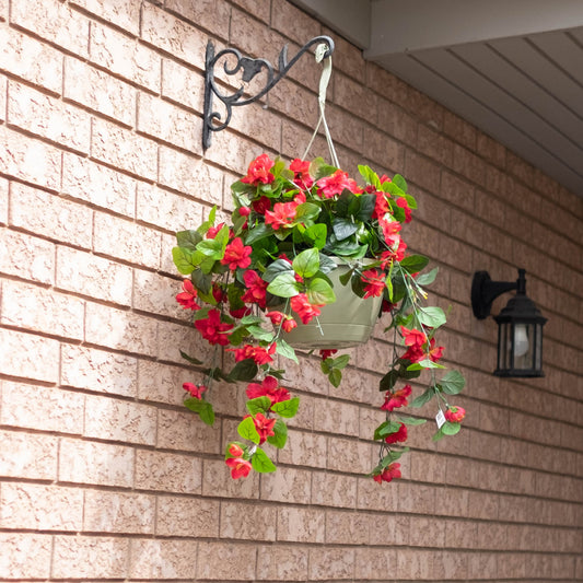 Azalea Flowering Basket