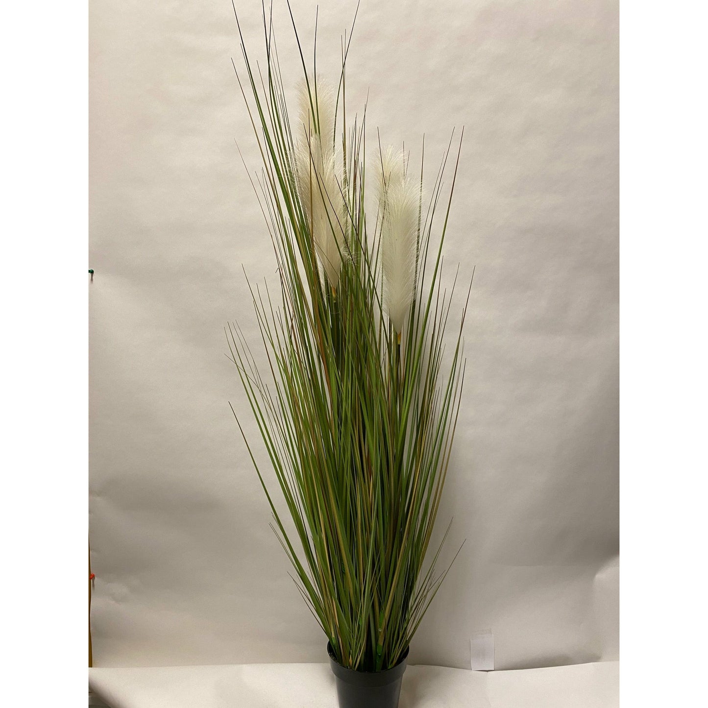 Potted Angel Hair Grass 58"