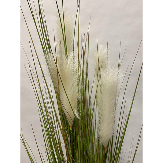 Potted Angel Hair Grass 58"