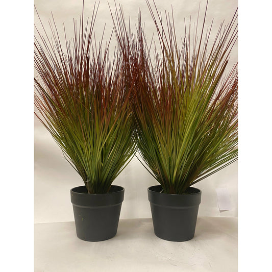 Firelight Grasses Set of 2