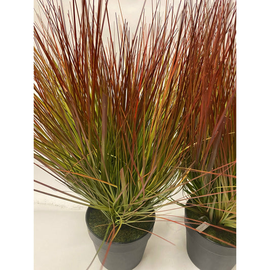 Firelight Grasses Set of 2