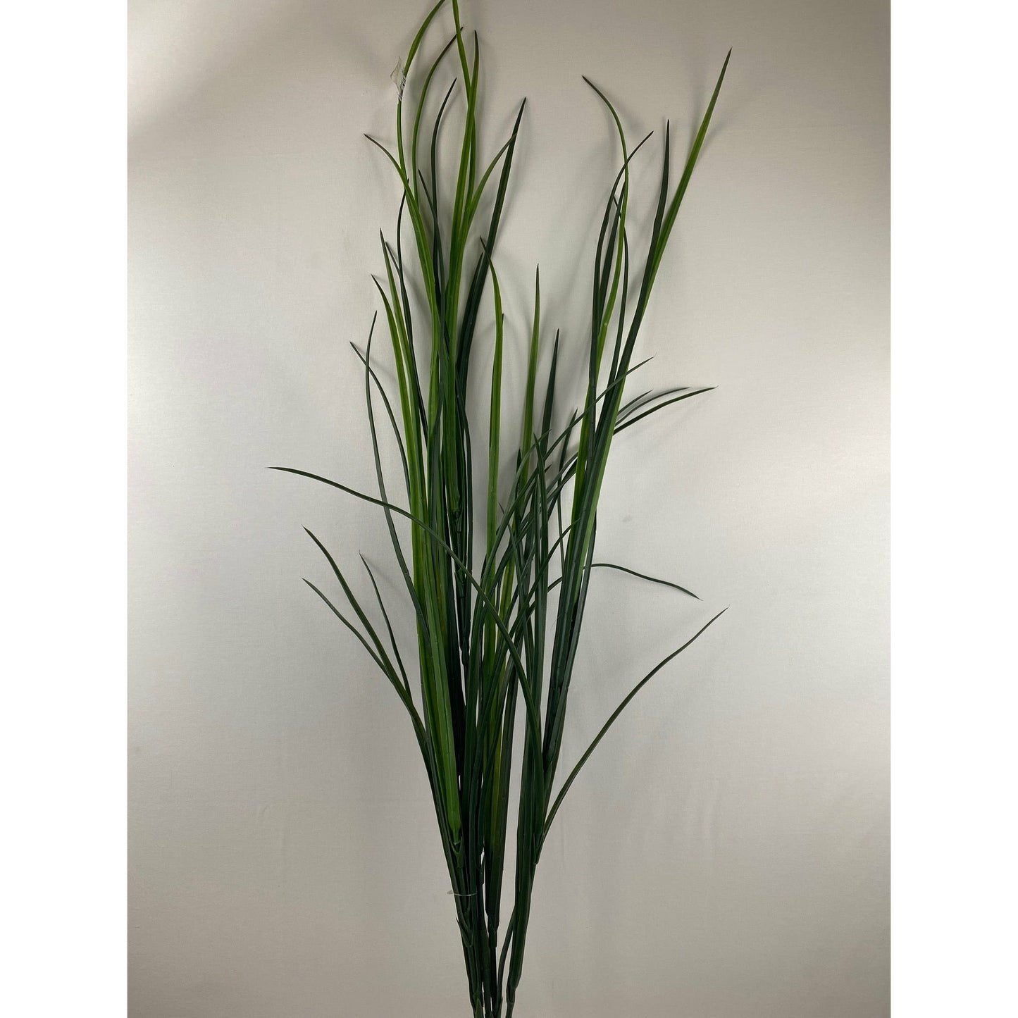 Field Grass Bush - Pack of 2