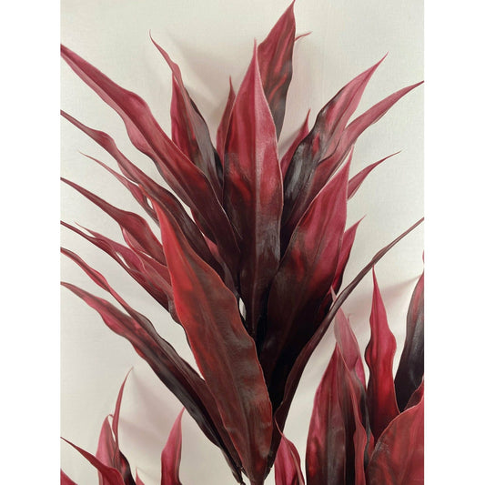 Flame Dracaena 32"