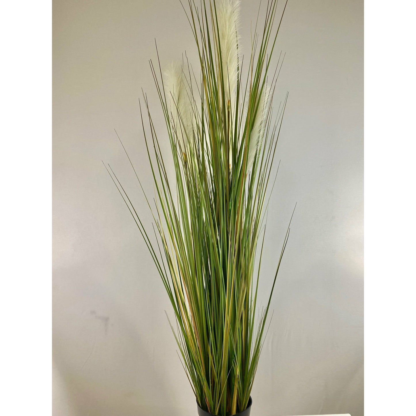 Angel Hair Grass 56"