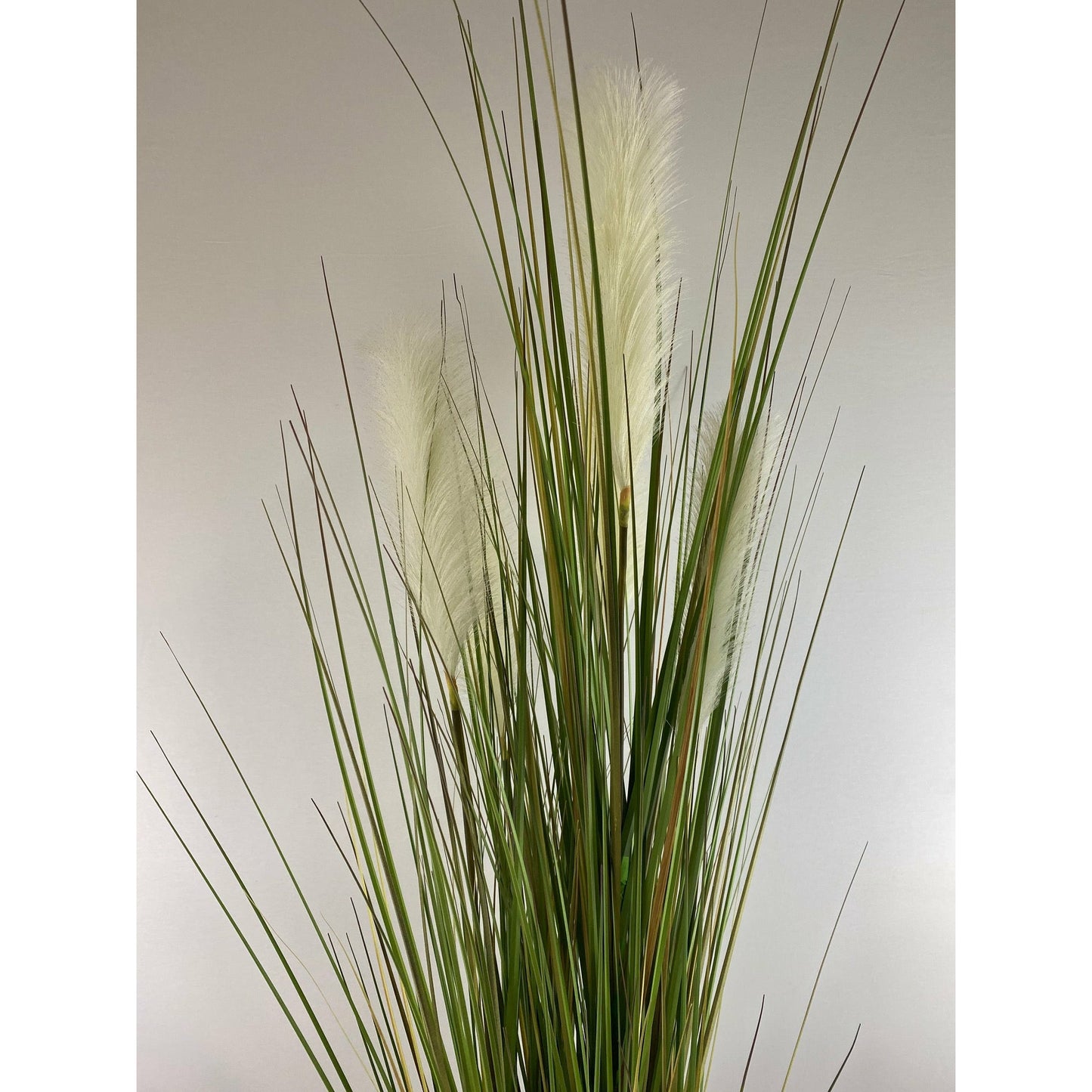 Angel Hair Grass 56"