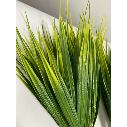 Lipstick Grass - Yellow Green - Pack of 3