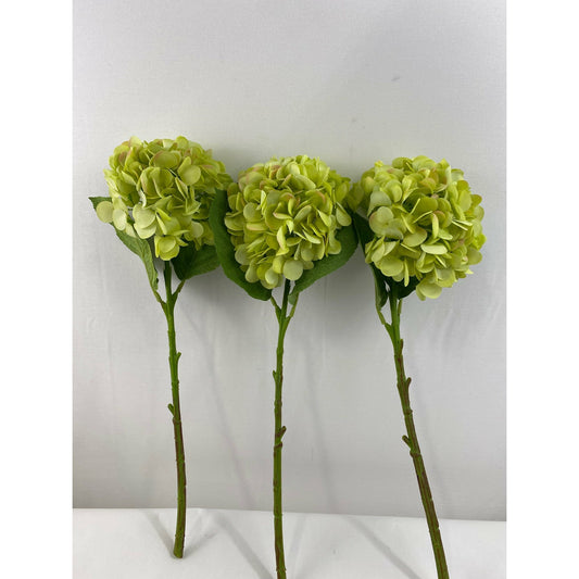 Hydrangea (Pack of 3)