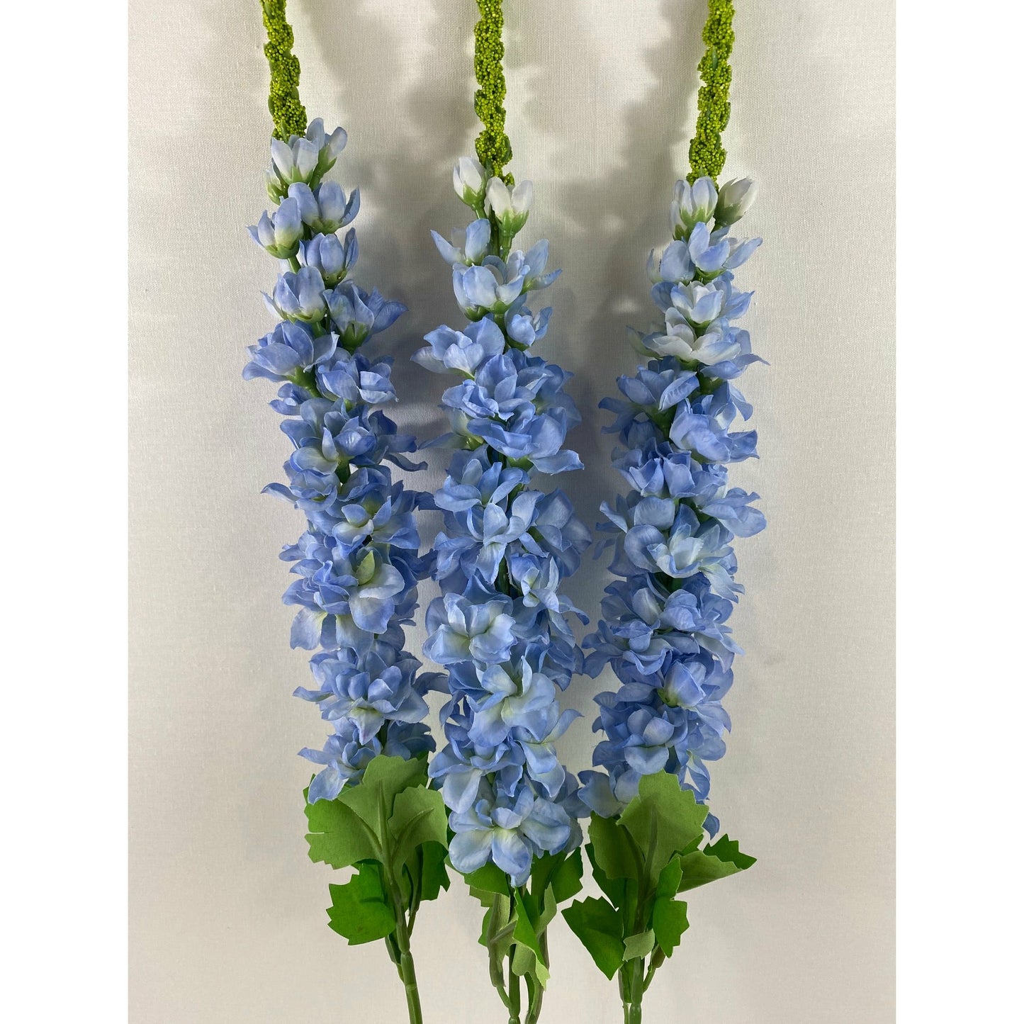 Delphinium 33" (Pack of 3)