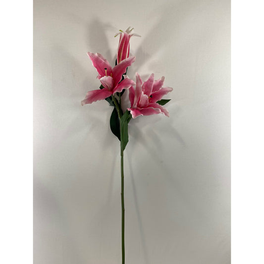 Tiger Lily (Pack of 3)