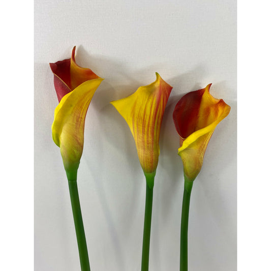 Cala Lily 25" (Pack of 6)