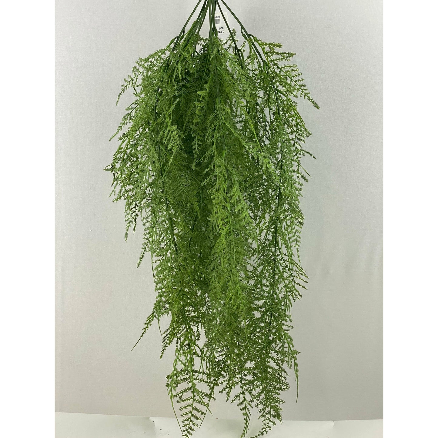 Asparagus fern bush 28"