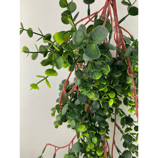 Eucalyptus Hanging Bush 30"
