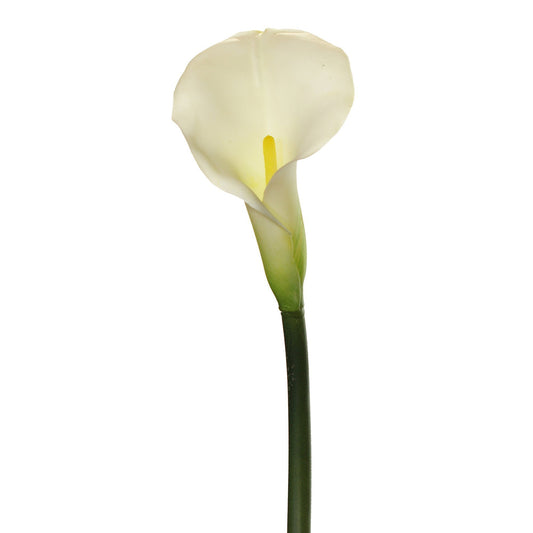 Large Calla Lily 25” (Pack of 6)