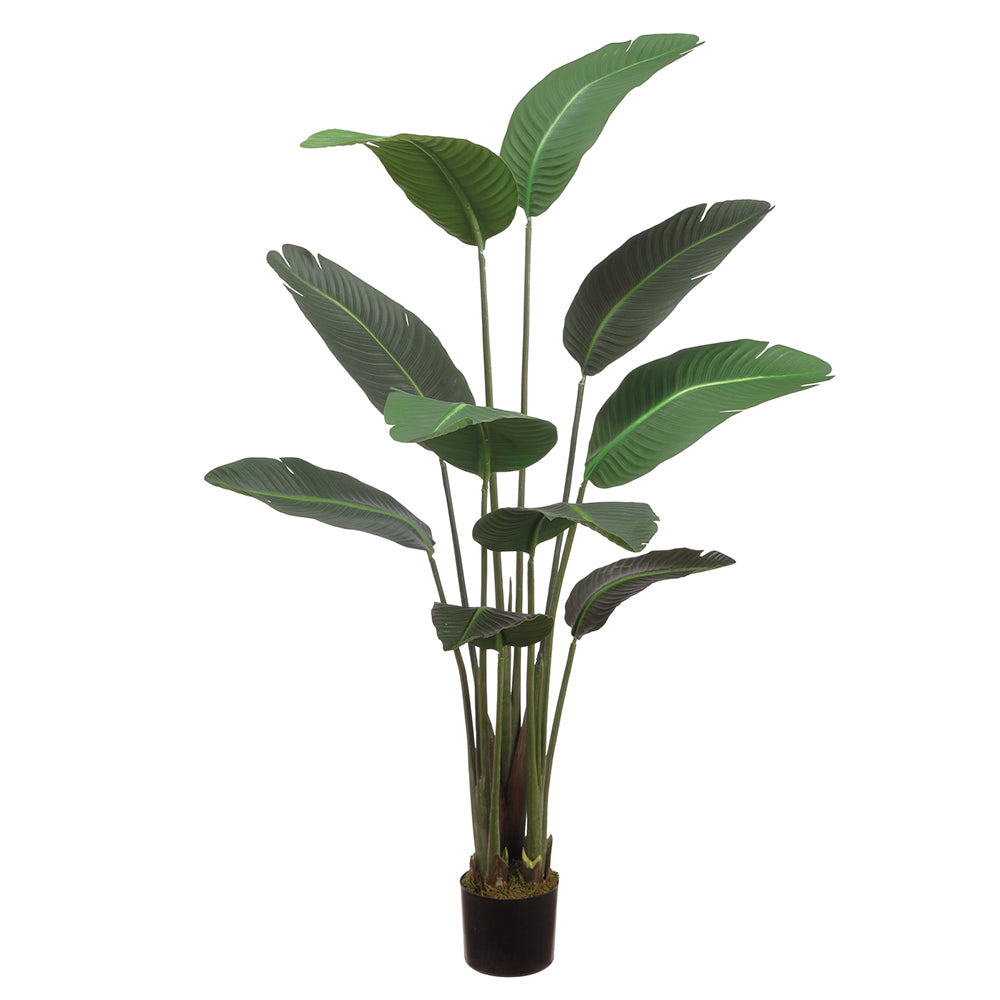 Artificial Bird of Paradise Plant