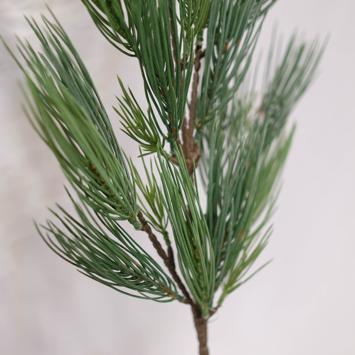 Long Pine Spray (Pack of 2)