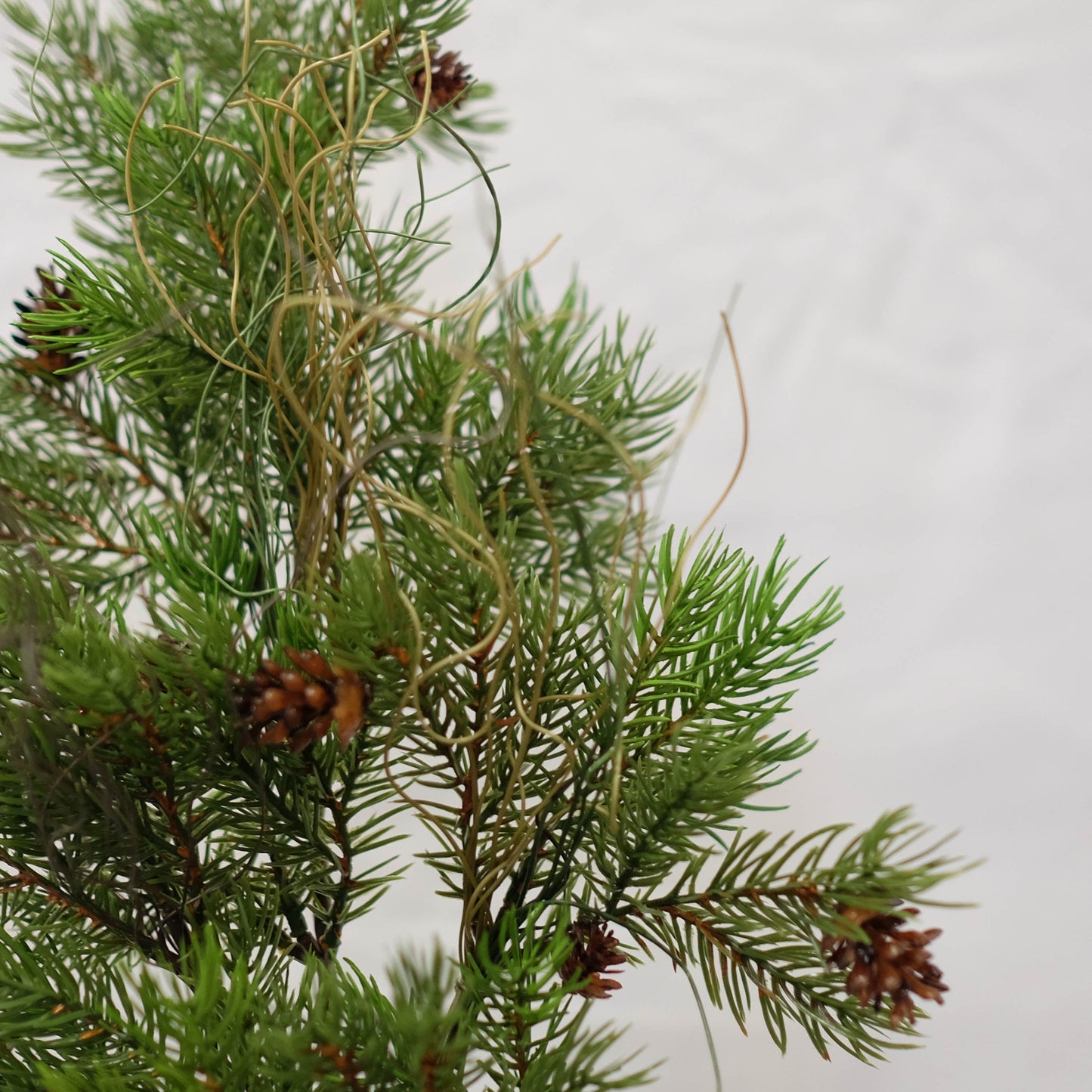 Natural Cedar Spray (Pack of 3)