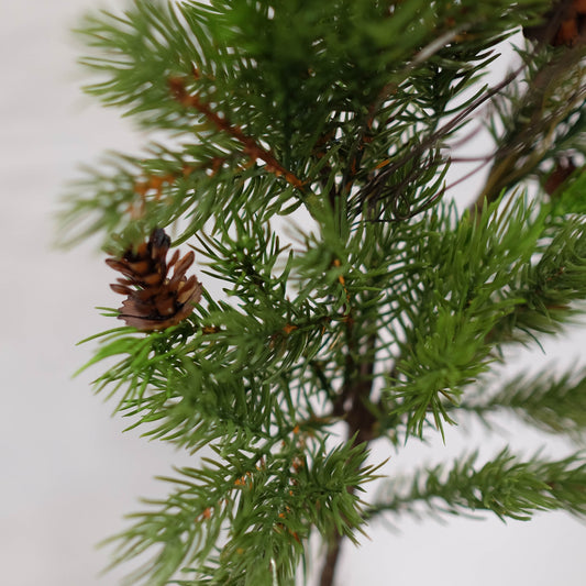 Natural Cedar Spray (Pack of 3)