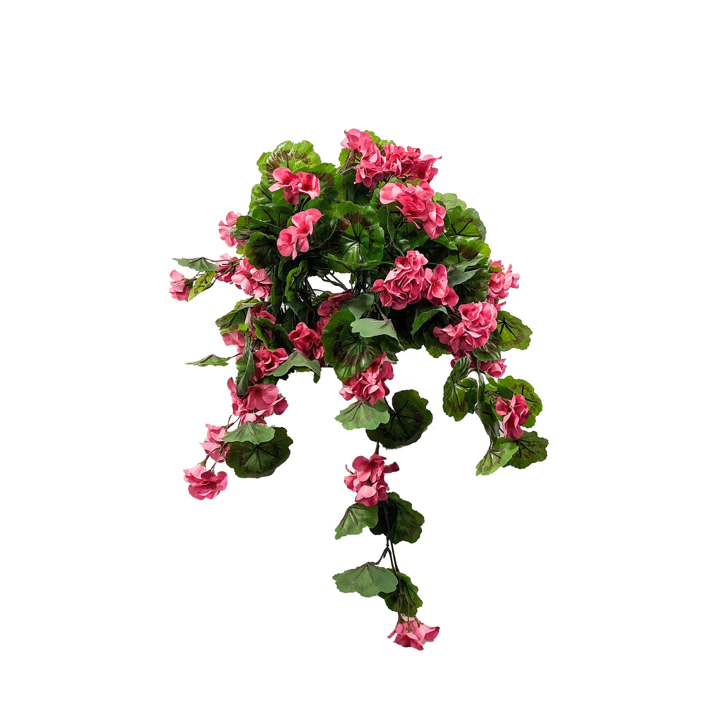 The Balcony Blooms Bundle