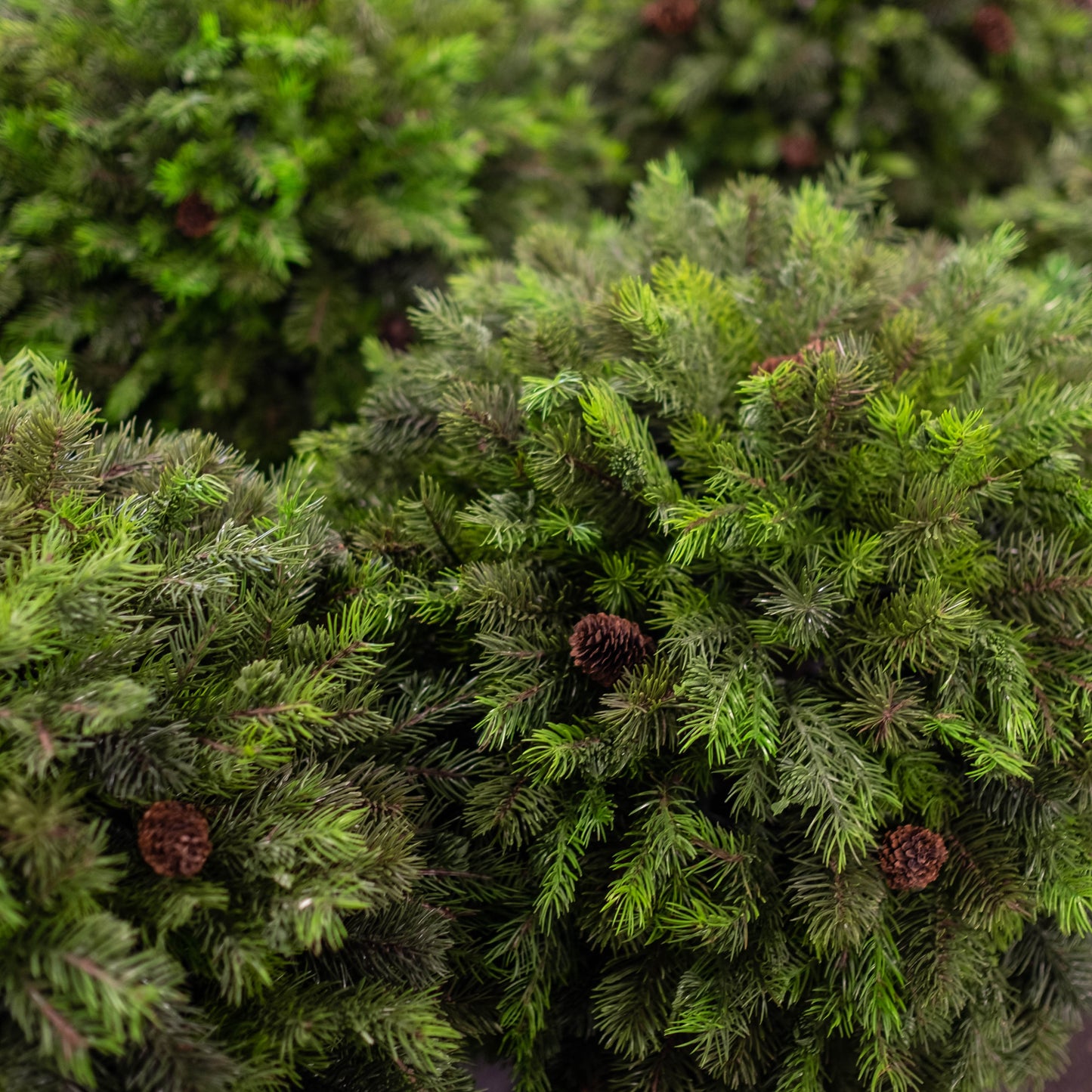 Pine Ball Top with Decorative Pine Cones 28"