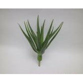 Aloe Stem 20"