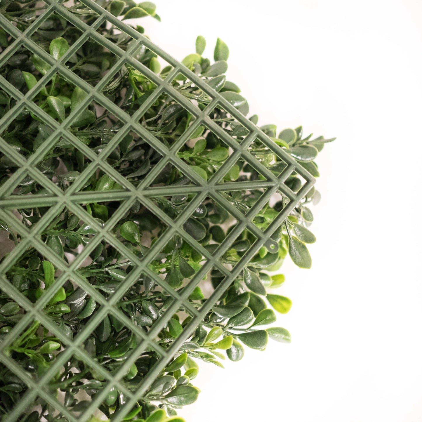 Boxwood Mats 20" - Pack of 12