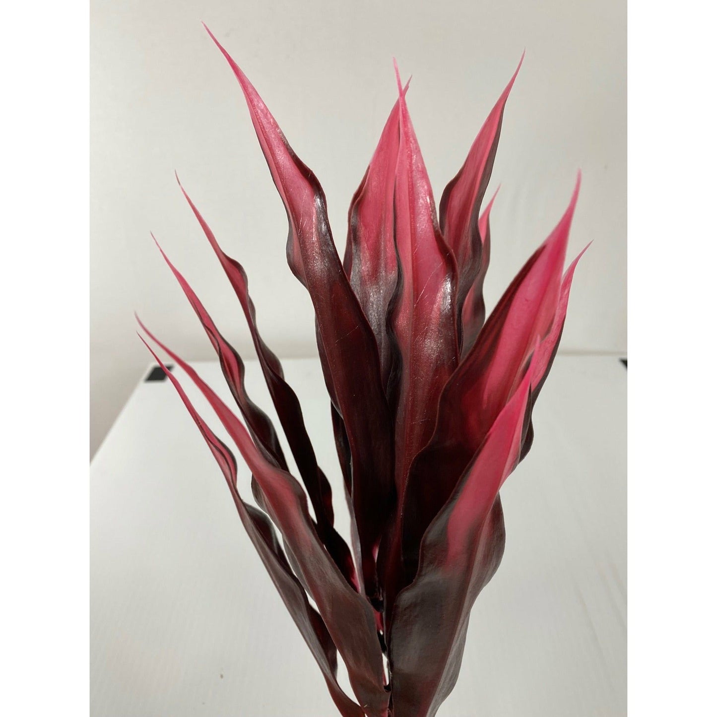 Artificial Dracaena Plant with Variegated Tip (pack of 3)