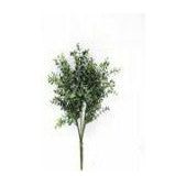 Eucalyptus bush 15" (Pack of 3)