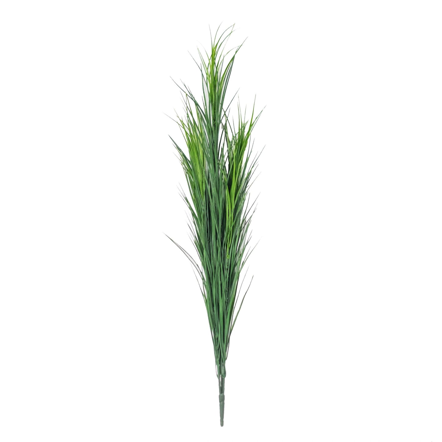 Wheat Grass Bush (Pack of 2)