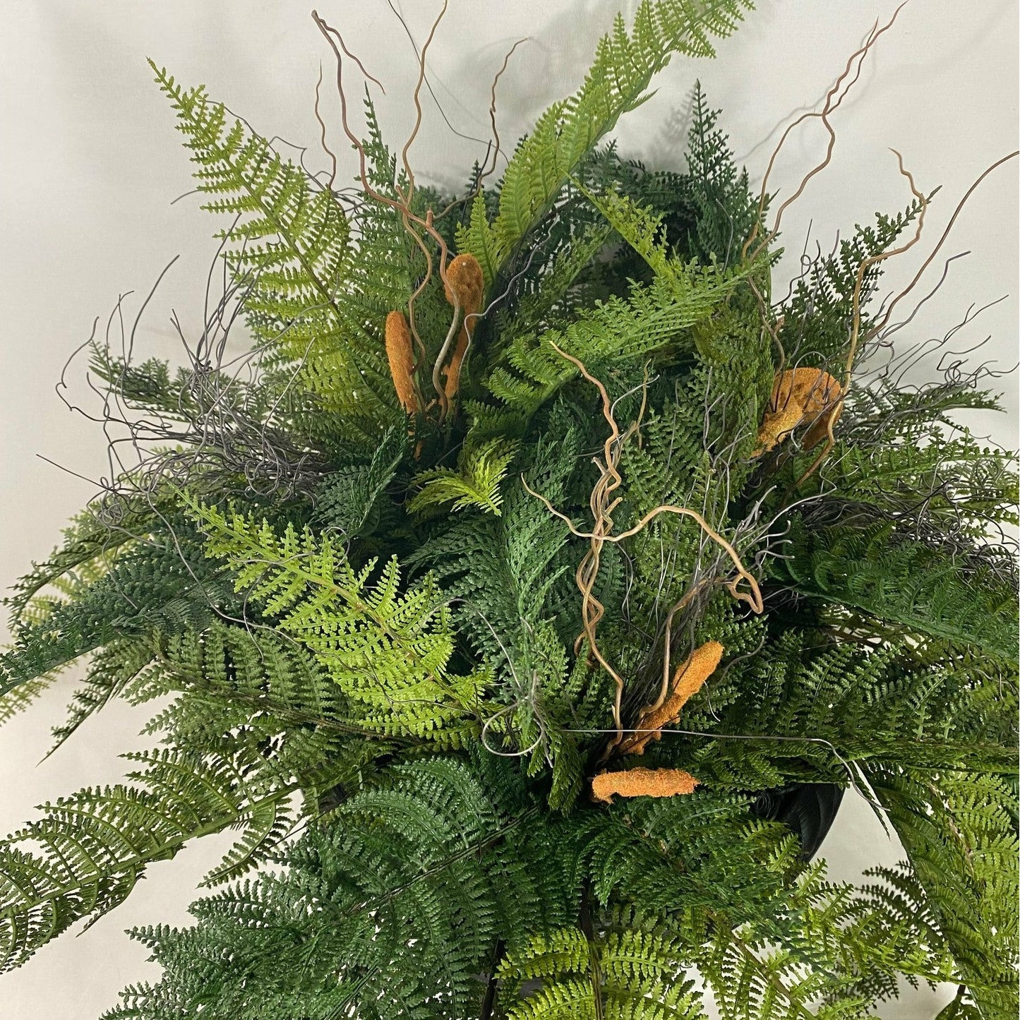 FERNALICIOUS!