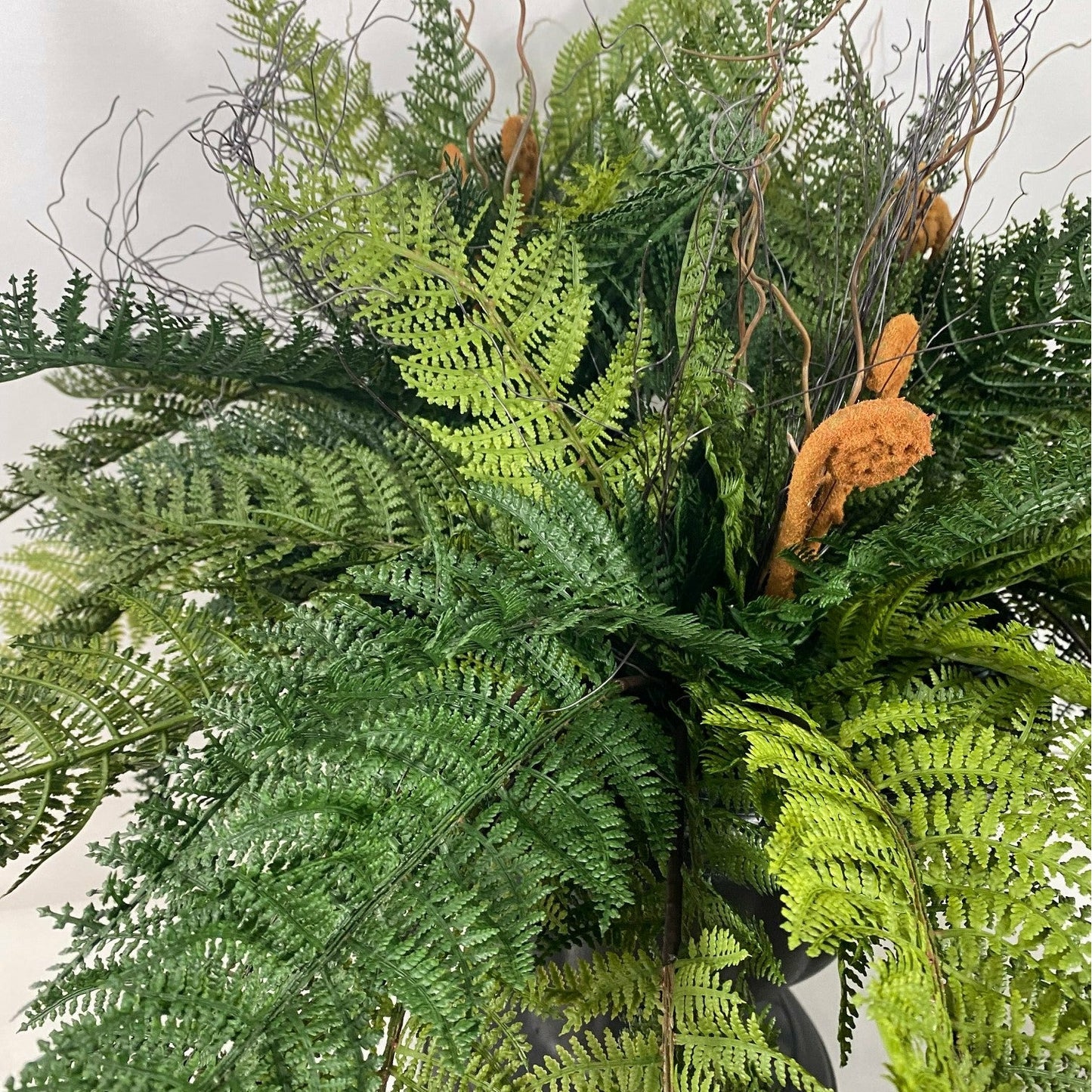 FERNALICIOUS!