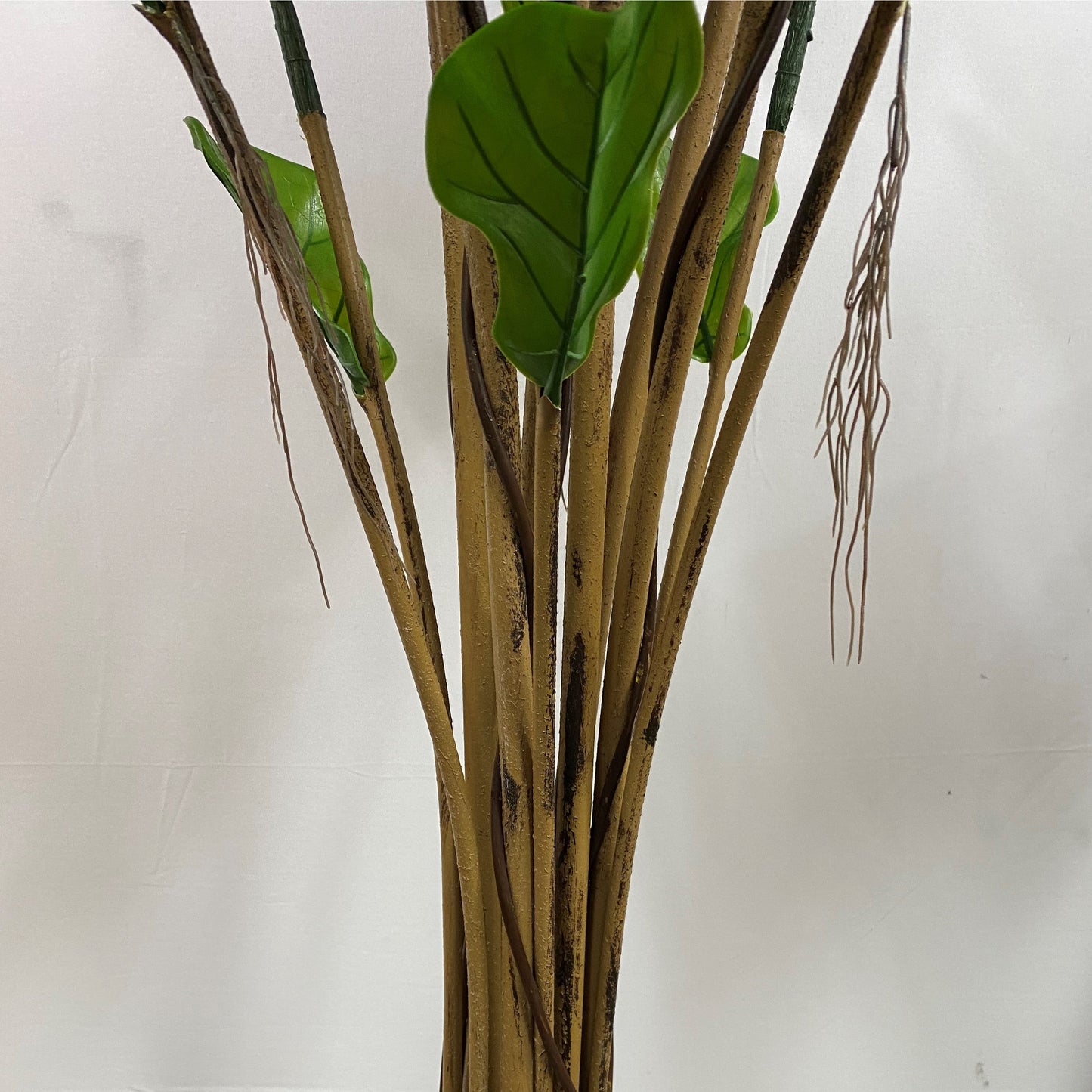Outdoor fiddle leaf 6' uv protected
