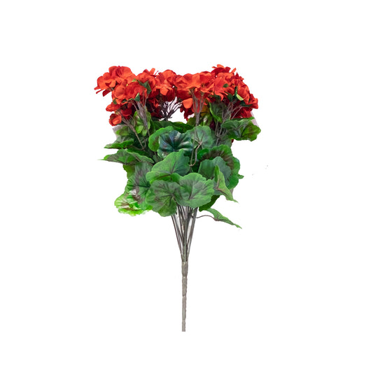 Geranium Stand-Up Flowering Bush