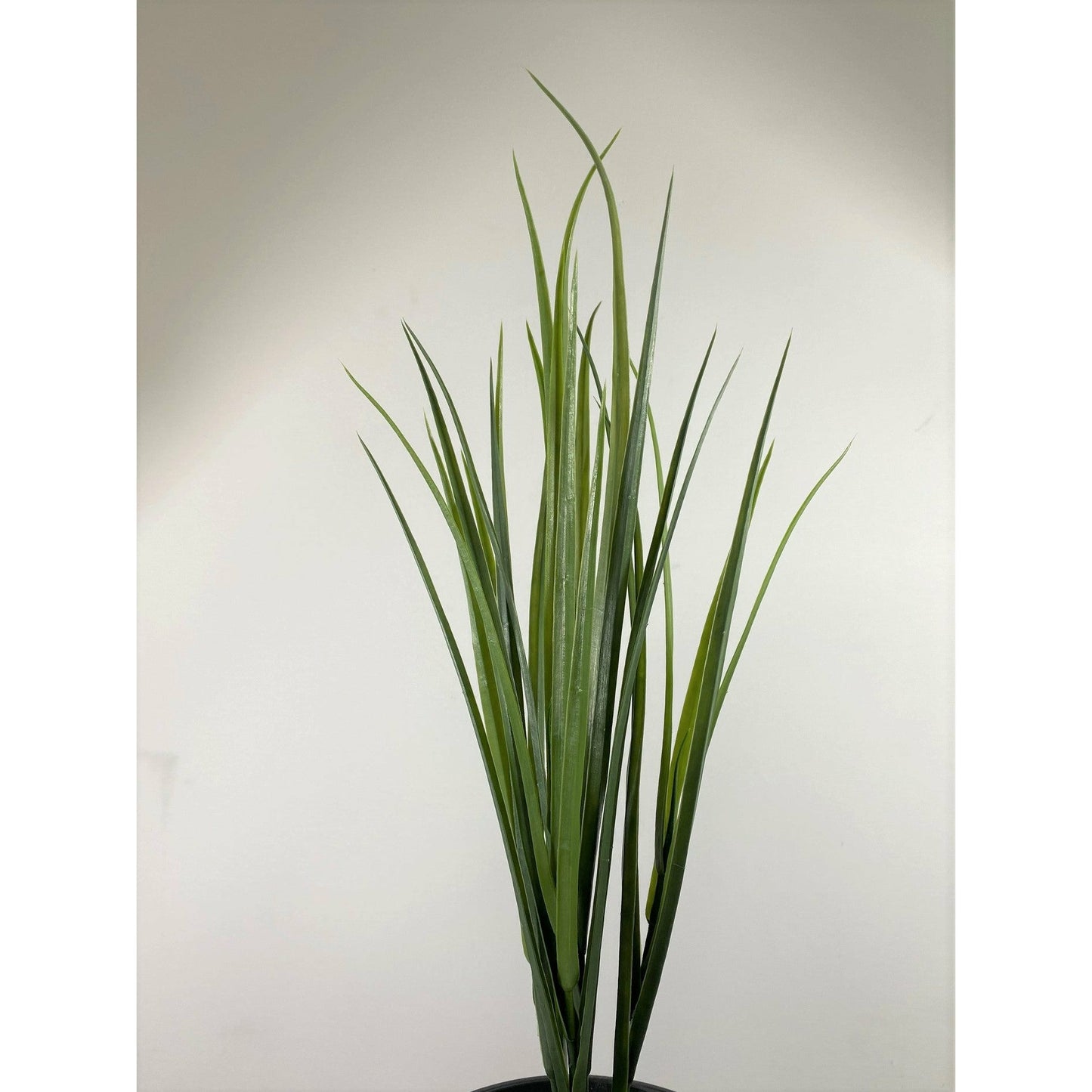 Fern Bush 27" (pack of 3)