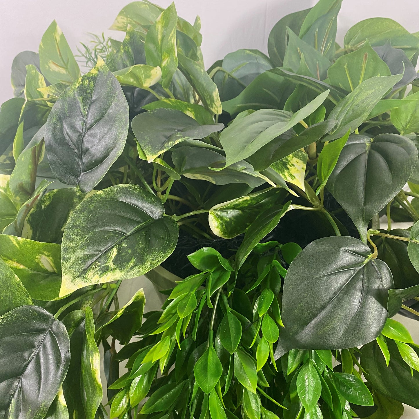 Green Light Hanging Basket