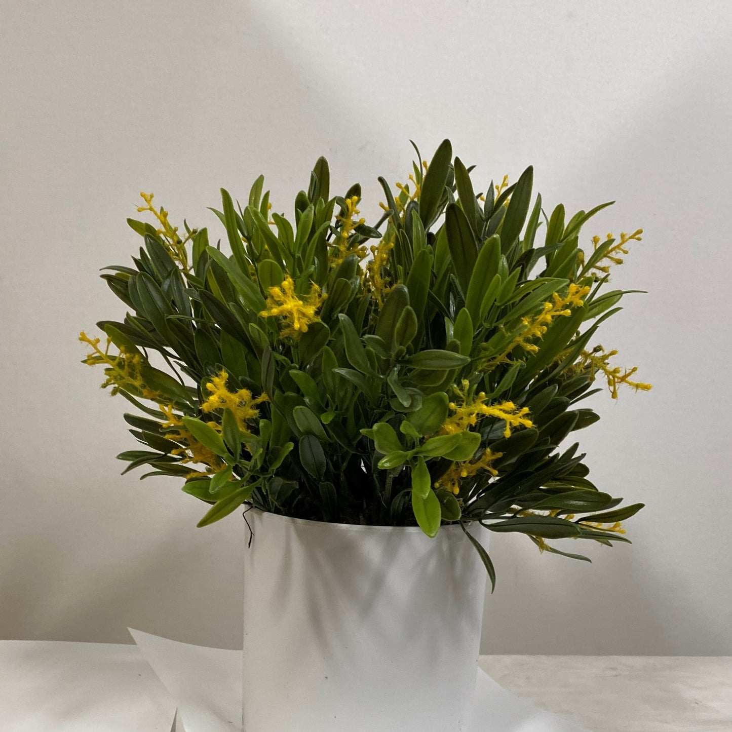 Lemon Lush Olive