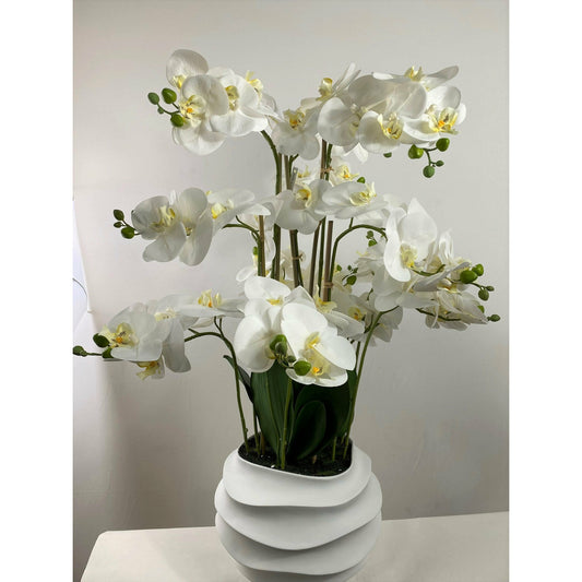 Phalaenopsis orchid 37" 12 stems real touch