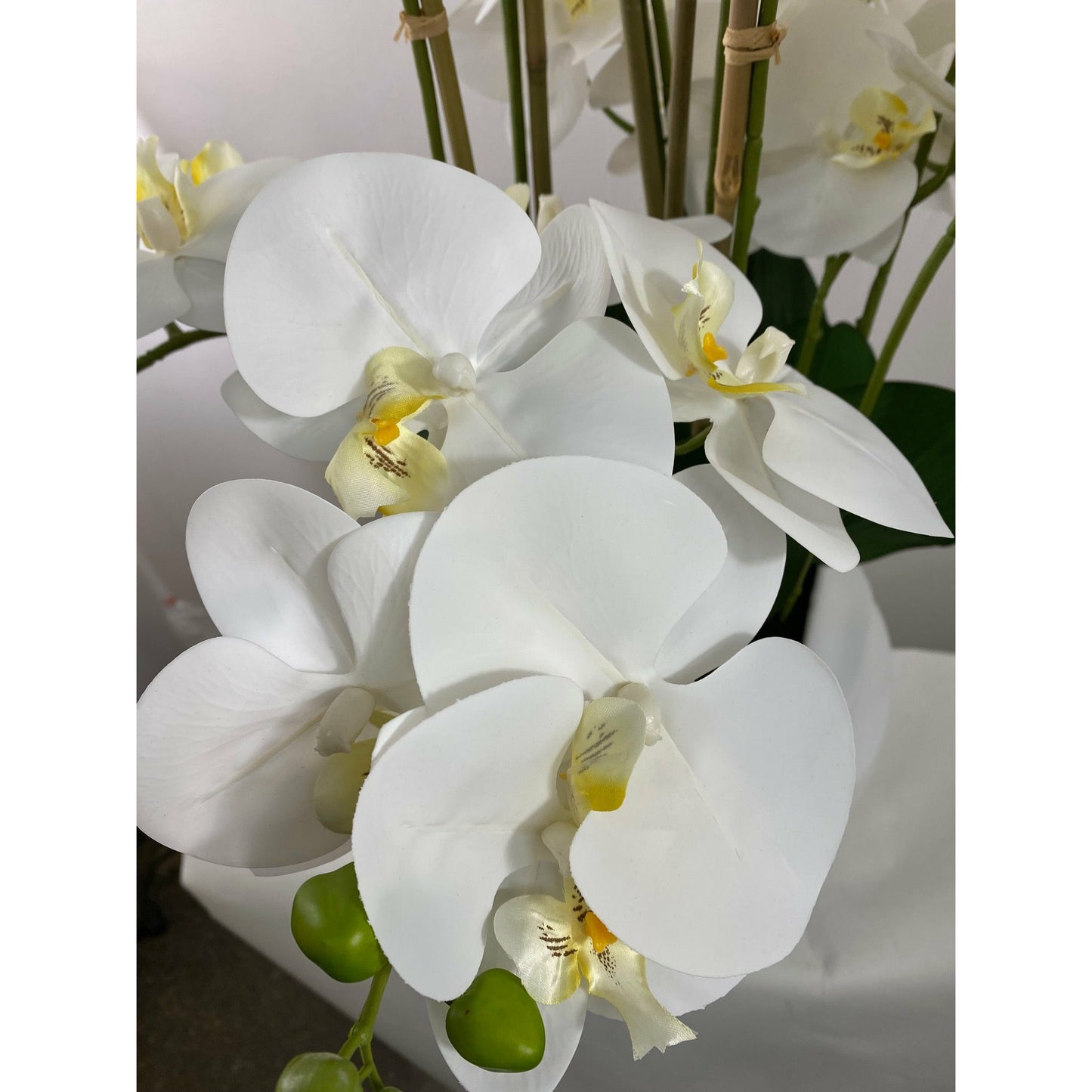 Phalaenopsis orchid 37" 12 stems real touch