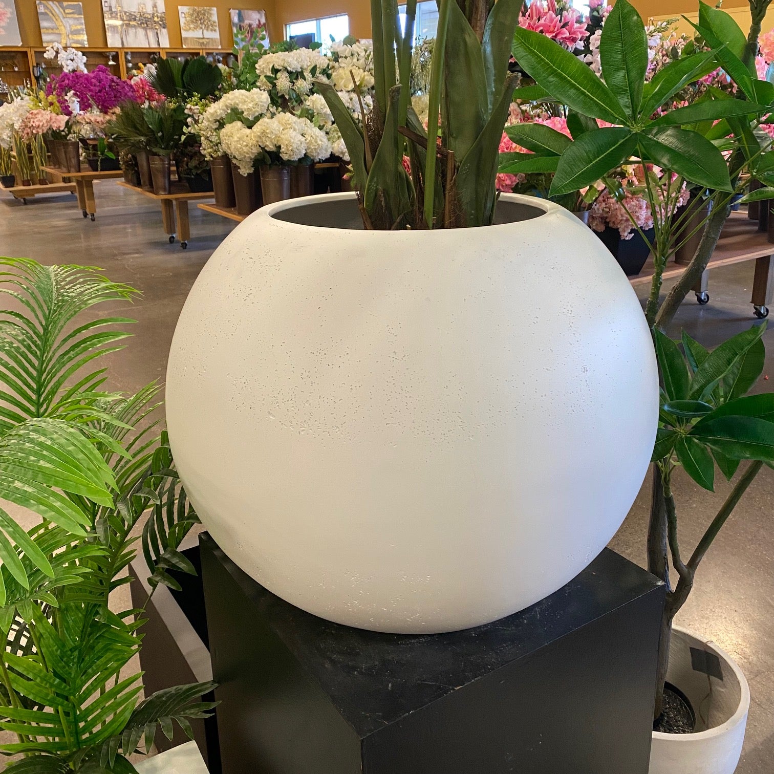 large plant pots canada Cratera Fiberglass Planter in Canada