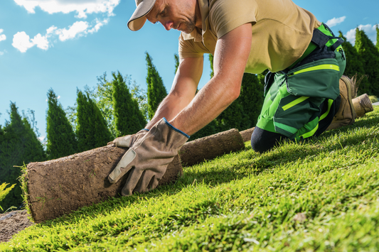 Step-by-Step Guide to Installing Artificial Grass