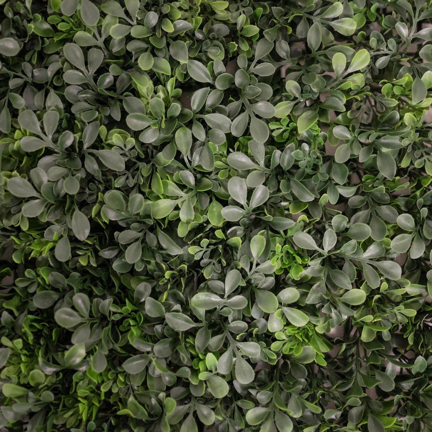 Artificial Wall Plants