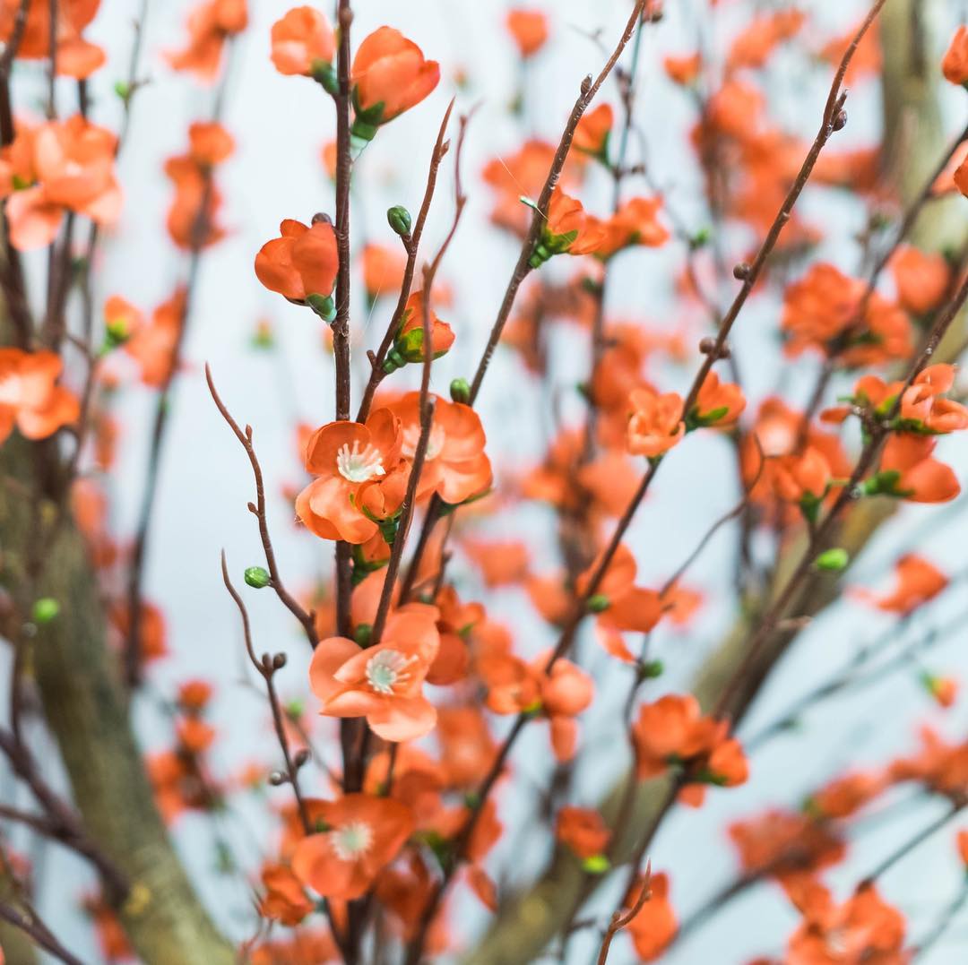 Artificial Flowers