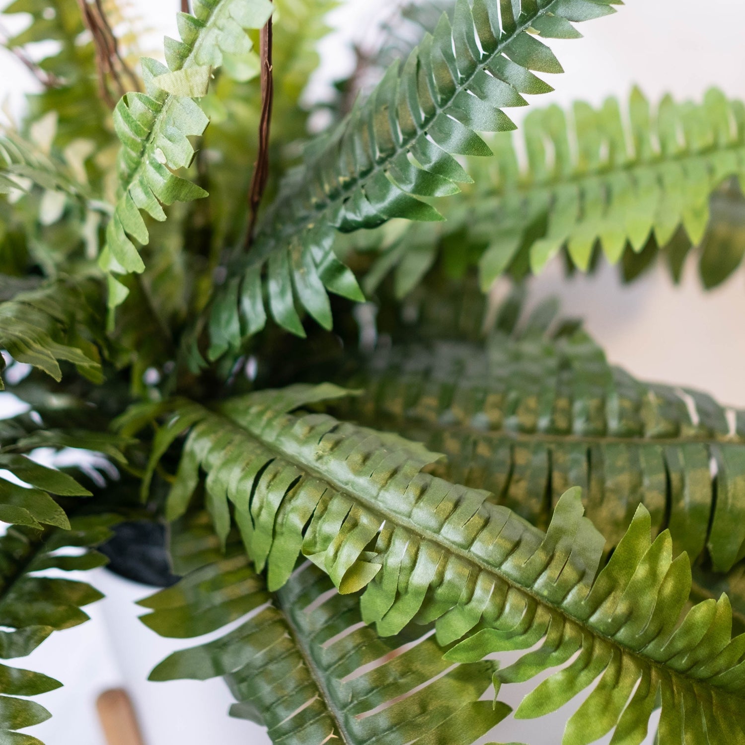 Artificial Fern Plants